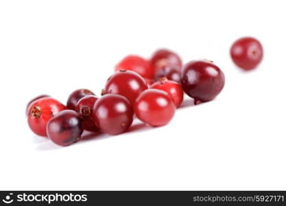 Cranberries on white background - studio shot