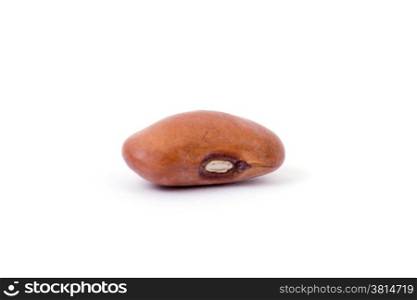 cranberry bean on white background