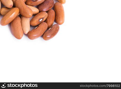 cranberry bean on white background