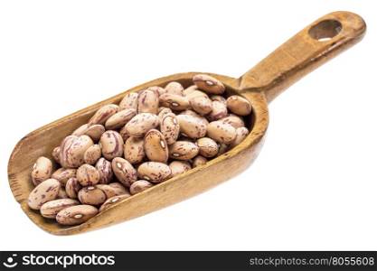 cranberry beans on a rustic wooden scoop, isolated on white
