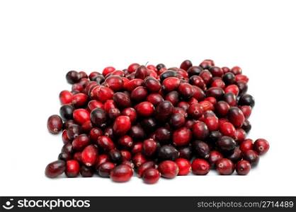 Cranberry fruits in various shades of red isolated on a white background. Isolated Cranberries
