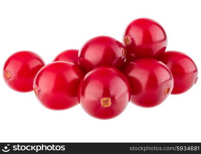 cranberry isolated on white background cutout