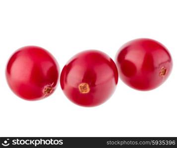 cranberry isolated on white background cutout