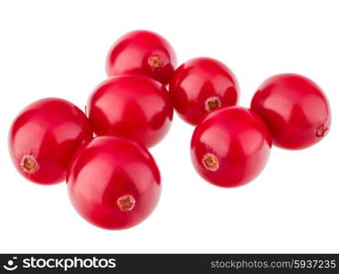 cranberry isolated on white background cutout