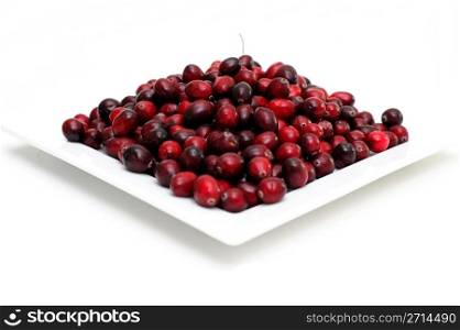 Cranberry On White. Cranberries in various shades of red on a square plate isolated on white