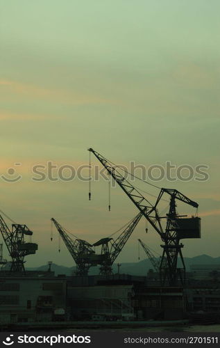 Crane