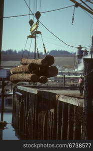 Crane unloading logging trucks into sorting pond, Shelton, Pacific Northwest