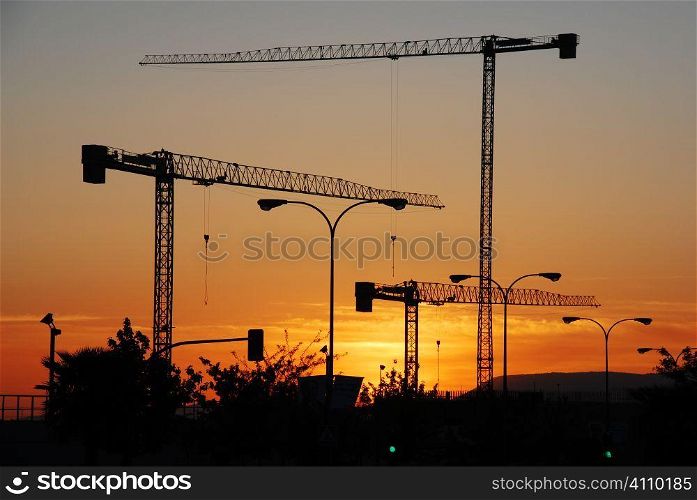 Cranes at sunset in Granada, Andalusia, Spain