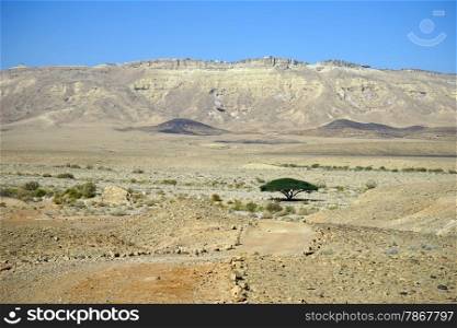 Crater and Mizpe Ramon in Negev desert, Israel