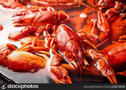 Crayfish are boiled in a pot in water. Macro background. High quality photo. Crayfish are boiled in a pot in water.
