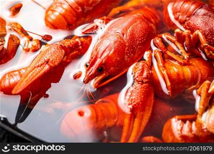 Crayfish are boiled in a pot in water. Macro background. High quality photo. Crayfish are boiled in a pot in water.