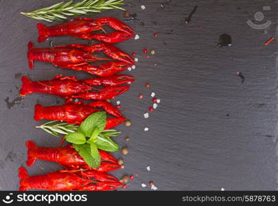 Crayfish. Border of red Crayfish on black board