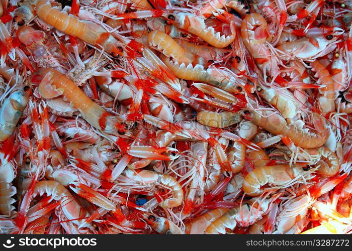 Crayfish Nephrops Norvegicus many seafood market catch