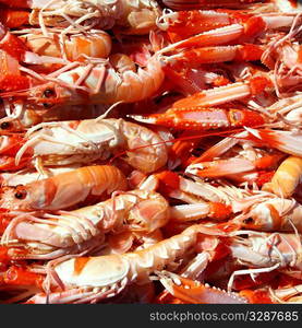 Crayfish Nephrops Norvegicus many seafood market catch