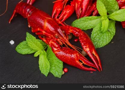 Crayfish. red boiled Crayfish close up on black board with fresh mint leaves