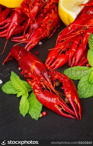 Crayfish. red boiled Crayfish close up on black board with spices and mint leaves
