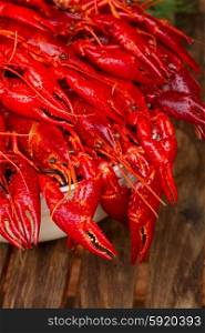 Crayfish. red boiled Crayfish in bowl close up