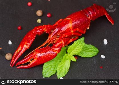 Crayfish. Red Crayfish with spices on black board
