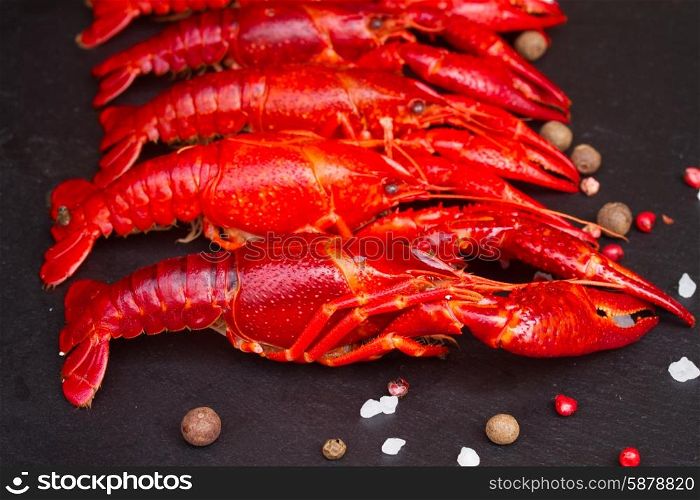 Crayfish. Row of big red boiled Crayfish on black board