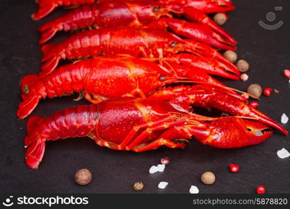 Crayfish. Row of big red boiled Crayfish on black board