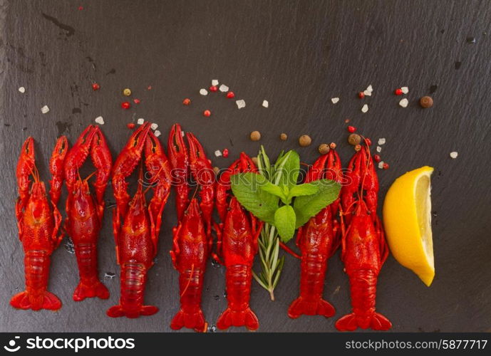 Crayfish. Row of red Crayfish on black board with spices