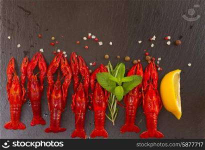 Crayfish. Row of red Crayfish on black board with spices