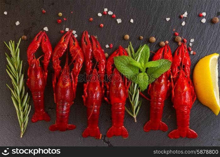 Crayfish. Row of red Crayfish on black board with spices and herbs