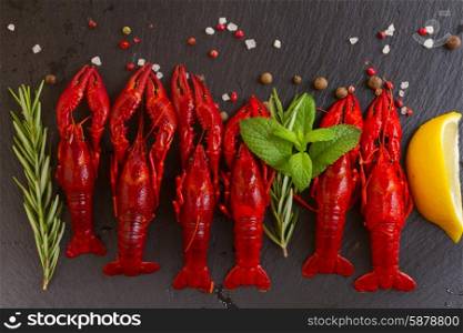 Crayfish. Row of red Crayfish on black board with spices and herbs