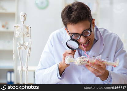 Crazy doctor studying human skeleton