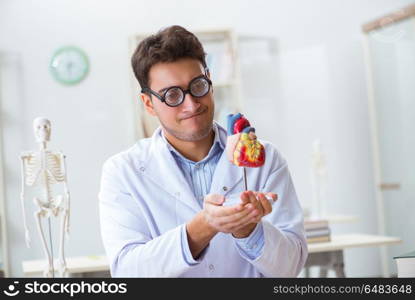 Crazy doctor with heart model