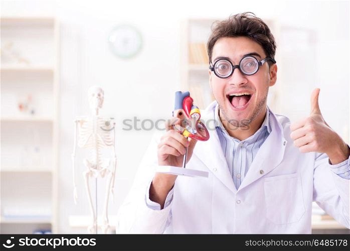 Crazy doctor with heart model