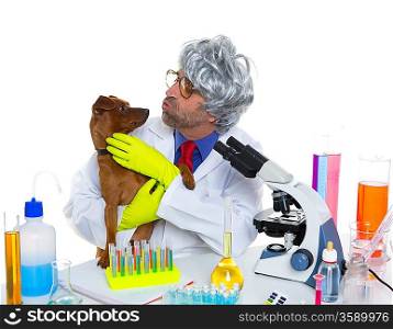 Crazy nerd scientist silly veterinary man with dog in chemical laboratory