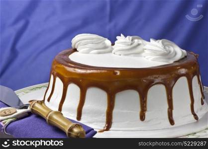 Cream cake with caramel on colored background