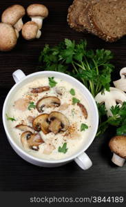 creamy soup pureed mushrooms and slices of chicken