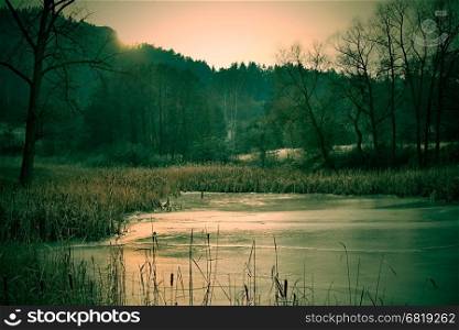 Creapy and haunted dark forest and lake at winter season.