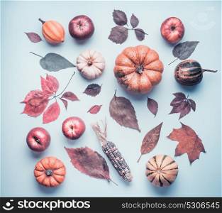 Creative autumn flat lay with various colorful little pumpkin, apples and fall leaves on blue table background, top view. Autumn composing or pattern background