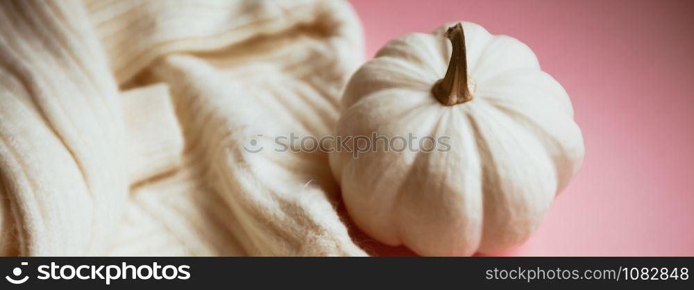 Creative autumn white sweater and pumpkin on millennial pink background copy space minimal style with natural light and shadows. Fall season template for feminine blog social media