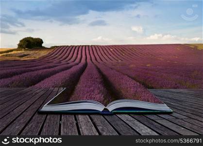 Creative composite image of Summer lavender landscape in pages of magic book