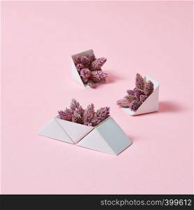 Creative composition of three cardboard boxes with cones on a pink background with space for text. Autumn layout. A set of triangular cardboard boxes with pine cones on a pink background with copy space. A creative composition