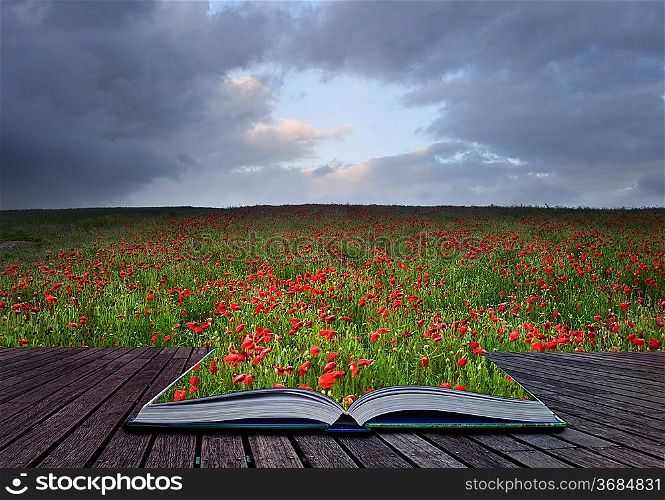 Creative concept idea of poppy field landscape image coming out of pages in magical book