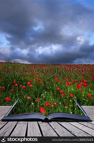 Creative concept idea of poppy field landscape image coming out of pages in magical book