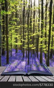 Creative concept image Beautiful landscape of Spring bluebells in forest