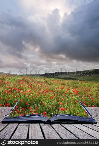 Creative concept image of poppy field landsape coming out of pages in magical book