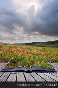 Creative concept image of poppy field landsape coming out of pages in magical book