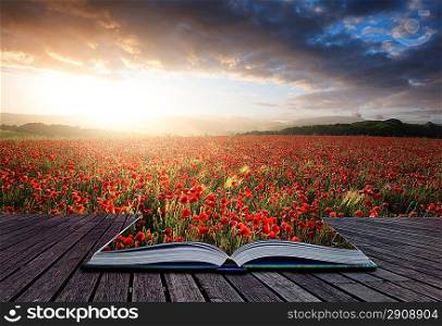 Creative concept pages of book Beautiful landscape image of Summer poppy field under stunning sunset sky