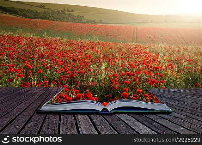 Creative concept pages of book Beautiful landscape image of Summer poppy field under stunning sunset sky