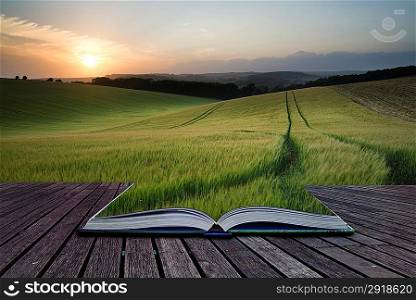 Creative concept pages of book Beautiful Summer landscape of field of growing wheat crop during sunset