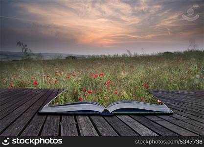 Creative concept pages of book Beautiful Summer sunrise countryside field of poppies landscape