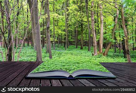 Creative concept pages of book Beautiful vibrant green growth in Spring forest landscape
