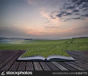 Creative concept pages of book Landscape across fresh wheat field at sunrise in Summer